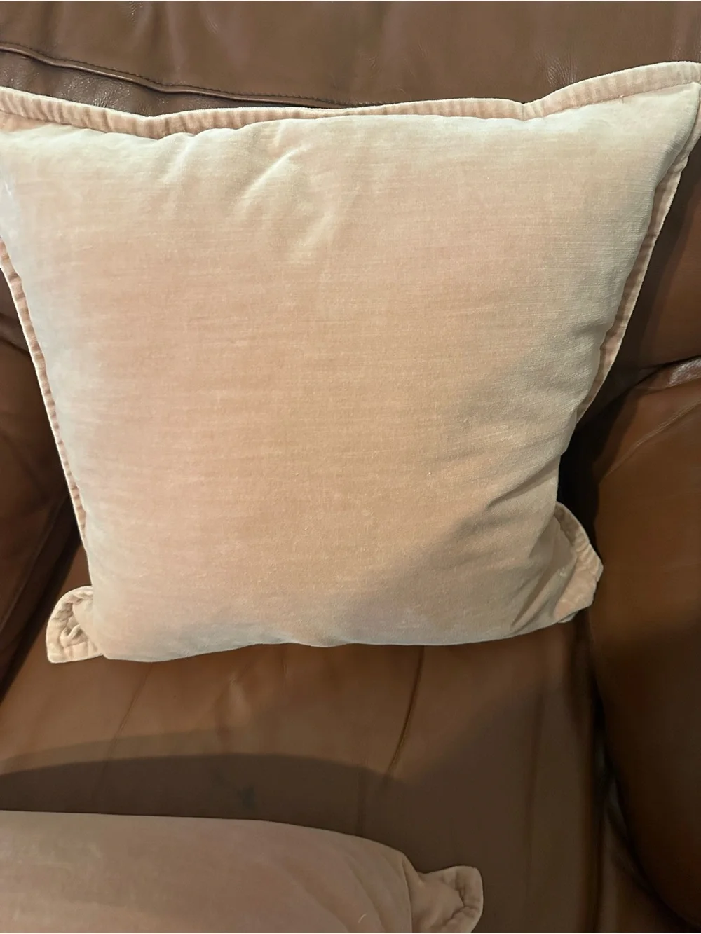 Pottery Barn Velvet Square Throw Pillow Covers - Blush